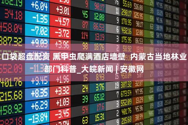 口袋超盘配资 黑甲虫爬满酒店墙壁  内蒙古当地林业部门科普_大皖新闻 | 安徽网