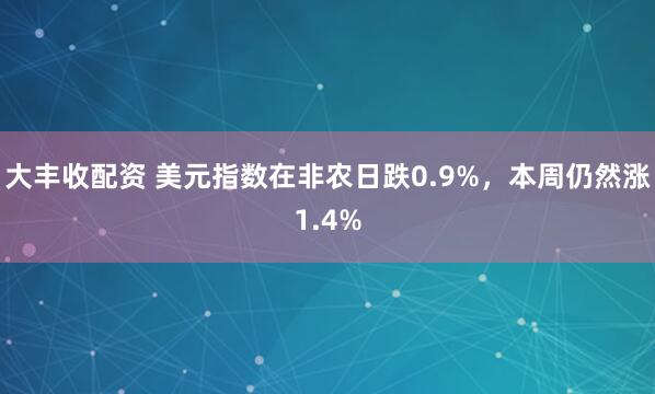 大丰收配资 美元指数在非农日跌0.9%，本周仍然涨1.4%