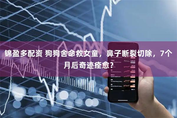 锦盈多配资 狗狗舍命救女童，鼻子断裂切除，7个月后奇迹痊愈？