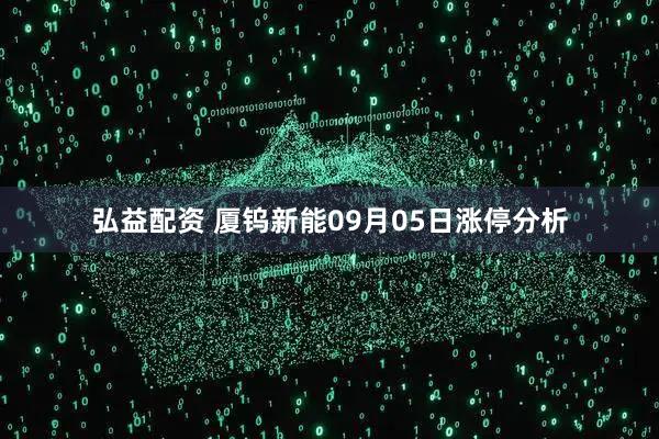 弘益配资 厦钨新能09月05日涨停分析