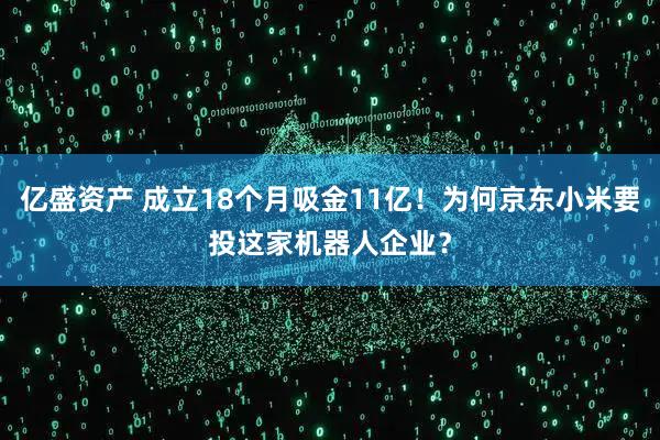 亿盛资产 成立18个月吸金11亿！为何京东小米要投这家机器人企业？